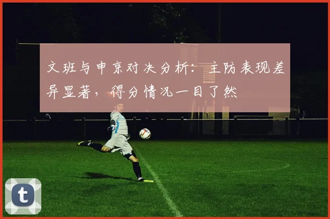 文班与申京对决分析：主防表现差异显著，得分情况一目了然