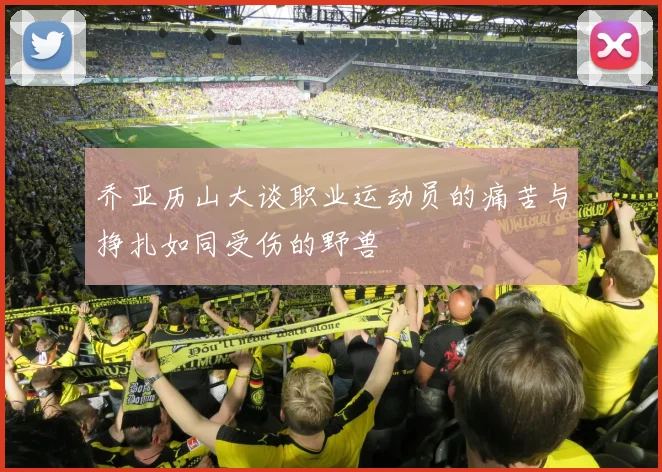 乔亚历山大谈职业运动员的痛苦与挣扎如同受伤的野兽