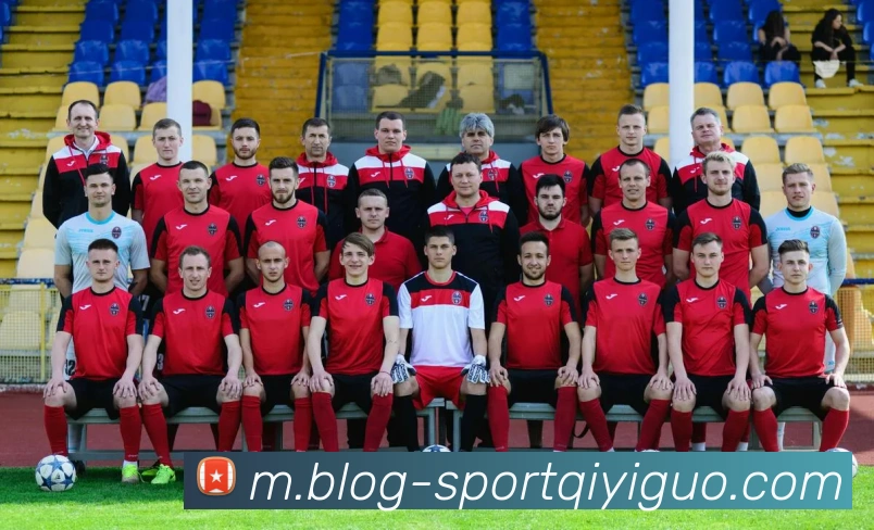 奇异果体育平台生态图